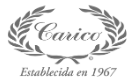 carico logo